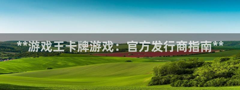 顺盈娱乐公司介绍图片：**游戏王卡牌游戏：官方发行商指南**