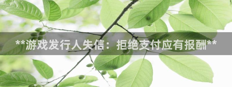 顺盈娱乐平台提现被关闭怎么回事啊安全吗：**游戏发行人失信：拒绝支付应有报酬**
