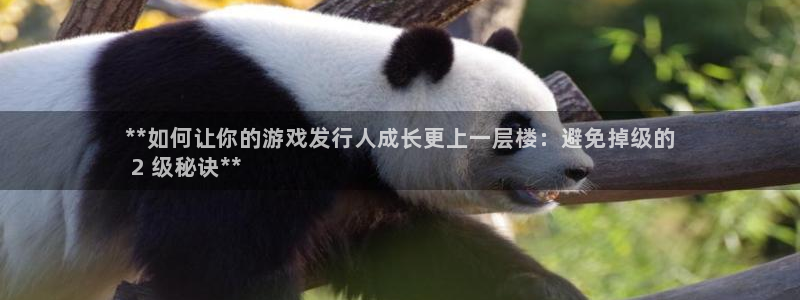 顺盈平台注册流程图片：**如何让你的游戏发行人成长更上一层楼：避免掉级的
 2 级秘诀**