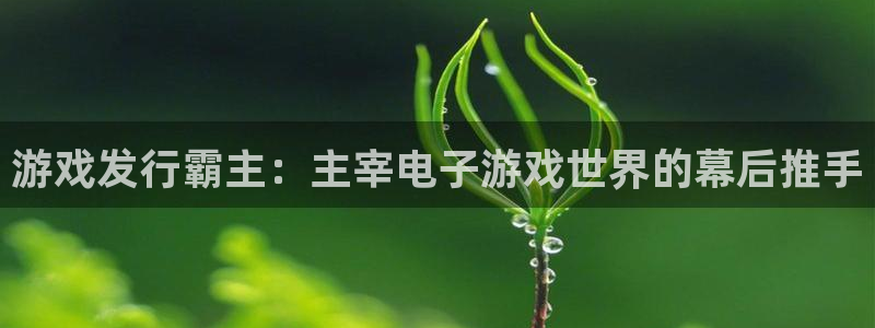 顺赢国际游戏：游戏发行霸主：主宰电子游戏世界的幕后推手