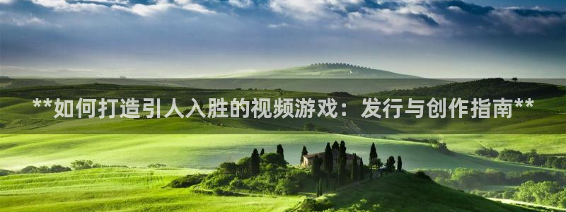 顺赢商贸有限公司：**如何打造引人入胜的视频游戏：发行与创作指南**