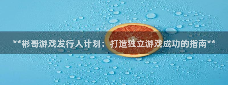 顺盈娱乐平台注册流程图片下载：**彬哥游戏发行人计划：打造独立游戏成功的指南**