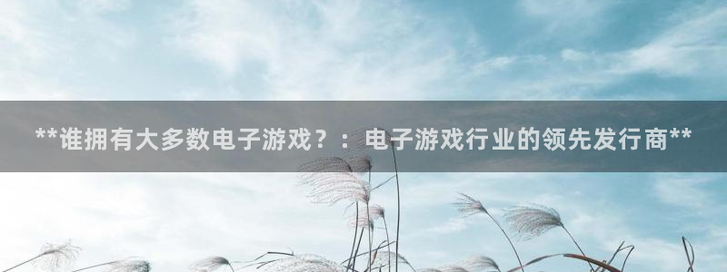顺盈平台登陆地址：**谁拥有大多数电子游戏？：电子游戏行业的领先发行商**