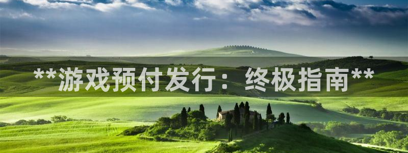 顺盈平台注册地址在哪看：**游戏预付发行：终极指南**