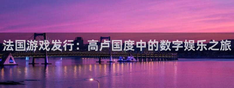 顺盈平台在线注册：法国游戏发行：高卢国度中的数字娱乐之旅