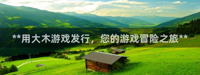 顺盈娱乐公司介绍怎么写啊：**用大木游戏发行，您的游戏冒险之旅**