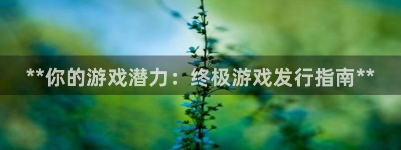 顺盈娱乐登录平台是什么意思：**你的游戏潜力：终极游戏发行指南**