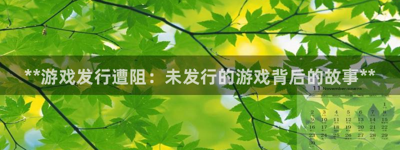顺盈娱乐登录平台是什么平台啊：**游戏发行遭阻：未发行的游戏背后的故事**