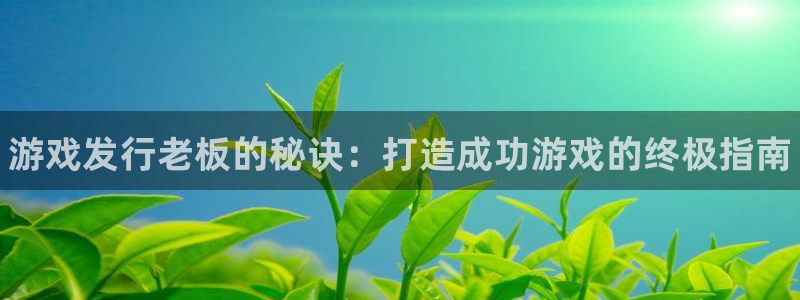 顺盈娱乐用什么加速器可以登录账号呢：游戏发行老板的秘诀：打造成功游戏的终极指南