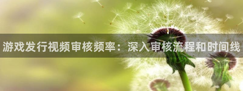 顺盈娱乐平台提现被关闭怎么回事儿啊：游戏发行视频审核频率：深入审核流程和时间线