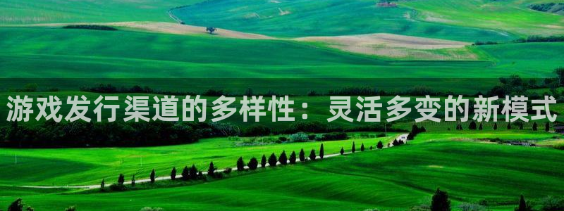 顺盈平台注册流程视频