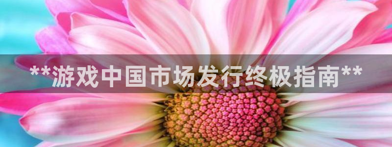 顺盈娱乐登录平台下载安装：**游戏中国市场发行终极指南**