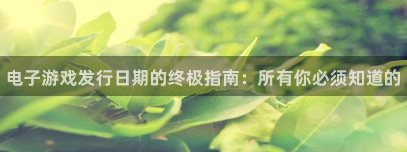 顺盈平台注册网址：电子游戏发行日期的终极指南：所有你必须知道的