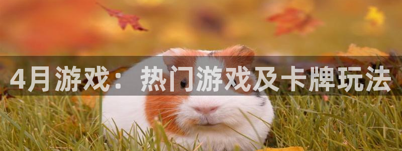 顺盈娱乐登录平台是什么软件啊：4月游戏：热门游戏及卡牌玩法