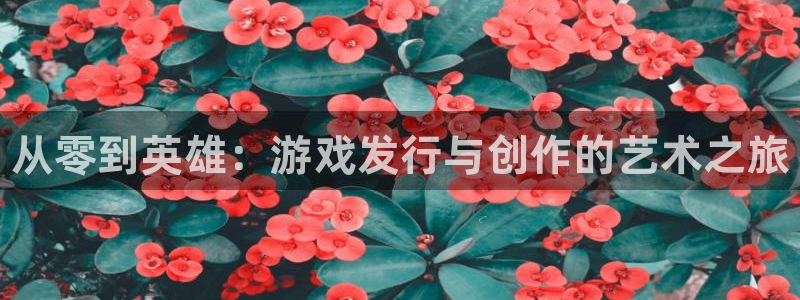 顺盈平台注册流程图：从零到英雄：游戏发行与创作的艺术之旅