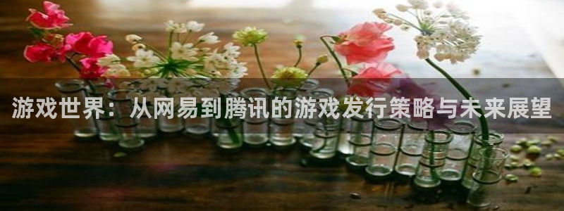 顺盈平台注册资金多少钱：游戏世界：从网易到腾讯的游戏发行策略与未来展望