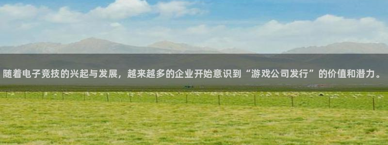 顺盈娱乐违法吗：随着电子竞技的兴起与发展，越来越多的企业开始意识到“游戏公司发行”的价值和潜力。