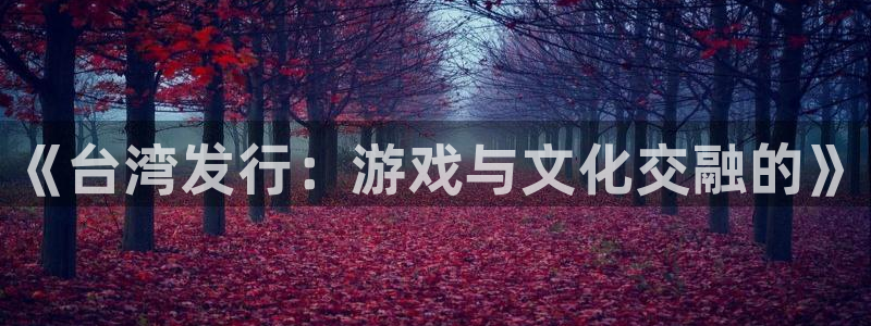 顺盈平台挂机：《台湾发行：游戏与文化交融的》