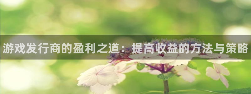 顺盈娱乐慌 692687：游戏发行商的盈利之道：提高收益的方法与策略