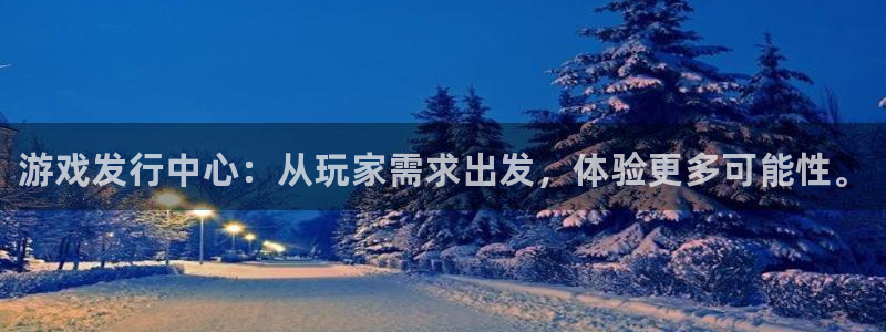 顺盈娱乐官网首页：游戏发行中心：从玩家需求出发，体验更多可能性。