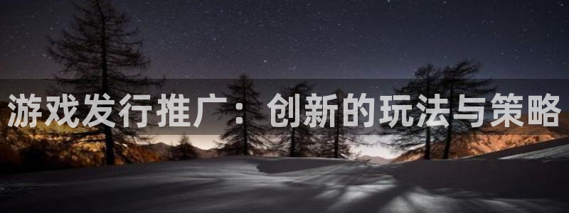 顺赢商贸有限公司：游戏发行推广：创新的玩法与策略
