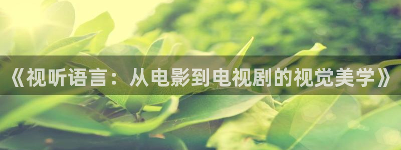 依依在线影院：《视听语言：从电影到电视剧的视觉美学》