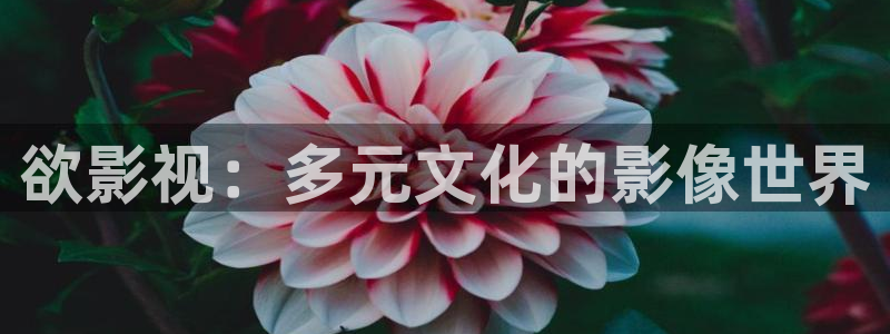 大香蕉依依影院：欲影视：多元文化的影像世界