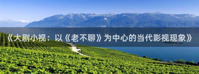 依依在线视频：《大剧小视：以《老不聊》为中心的当代影视现象》