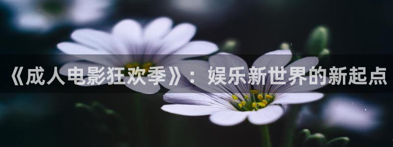 依依影院av：《成人电影狂欢季》：娱乐新世界的新起点